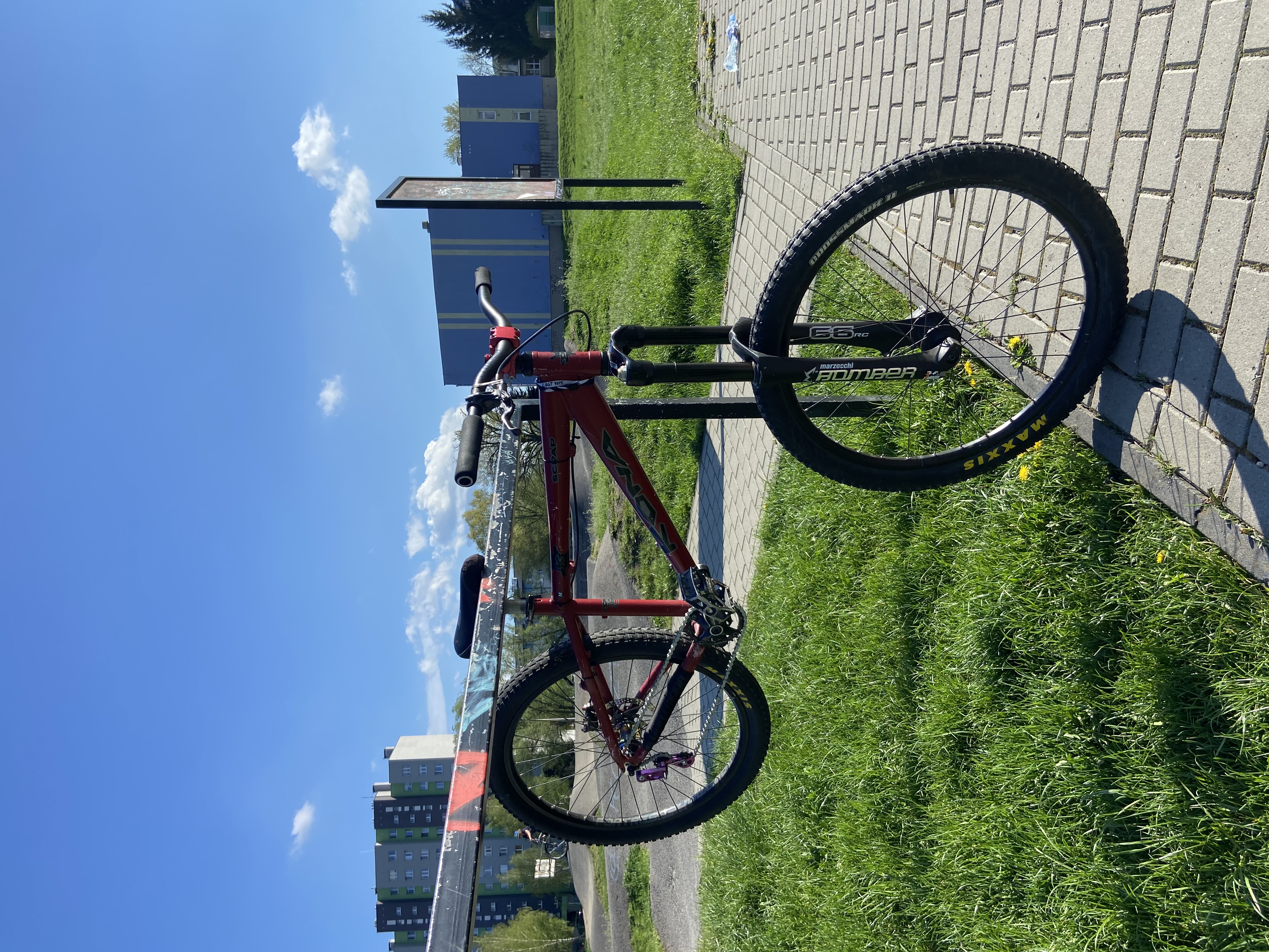 https://navelo.pl/media/offers/524-1749252886IMG_1399.jpeg