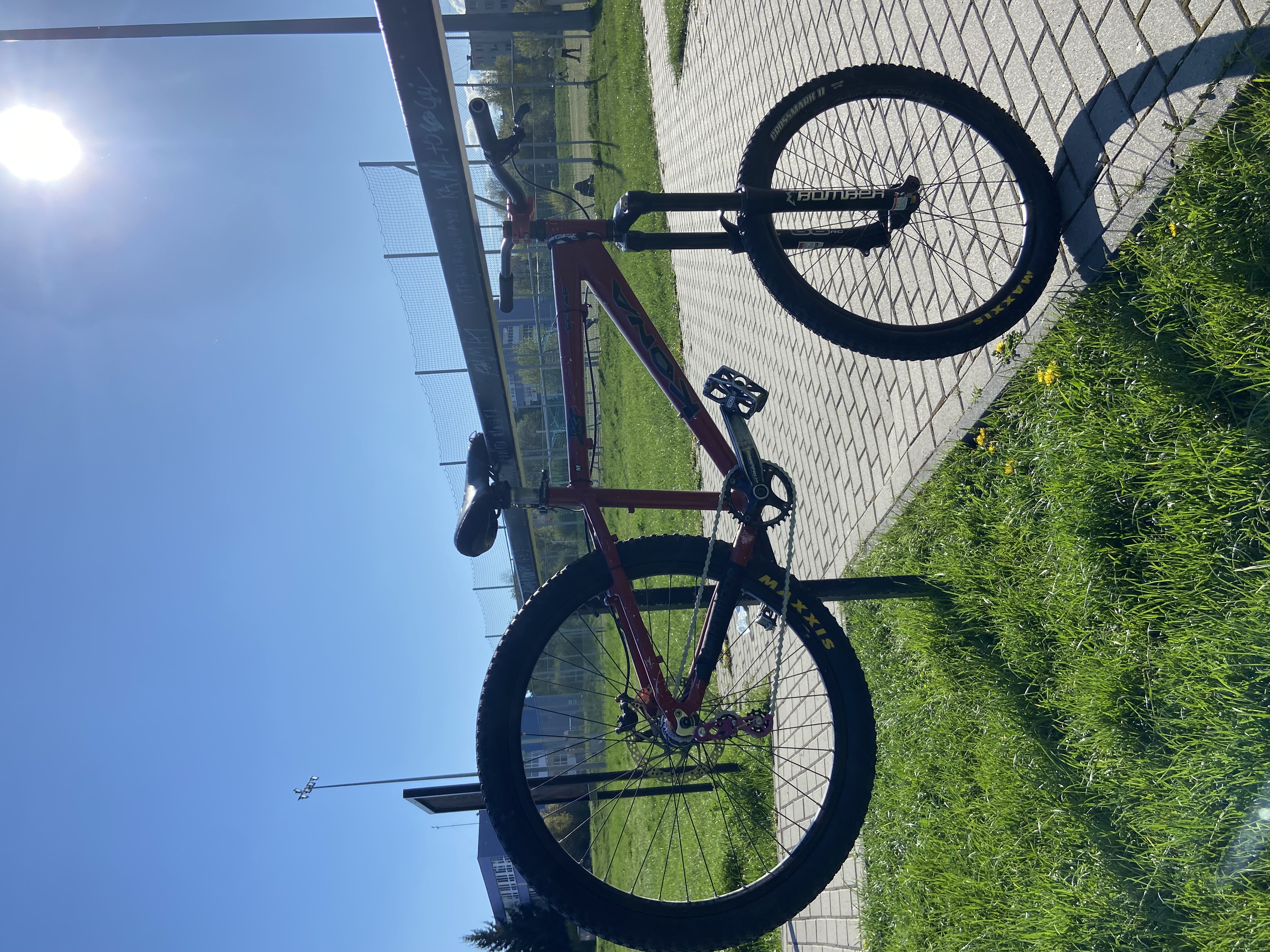 https://navelo.pl/media/offers/524-1749252886IMG_1401.jpeg