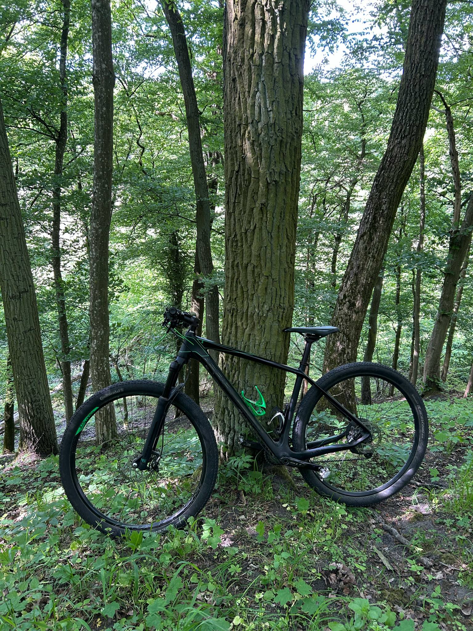 Używany, Górski MTB, Cube, Inny, 29 cali (29er), L - Large (50-56 cm, 19-22 cali)